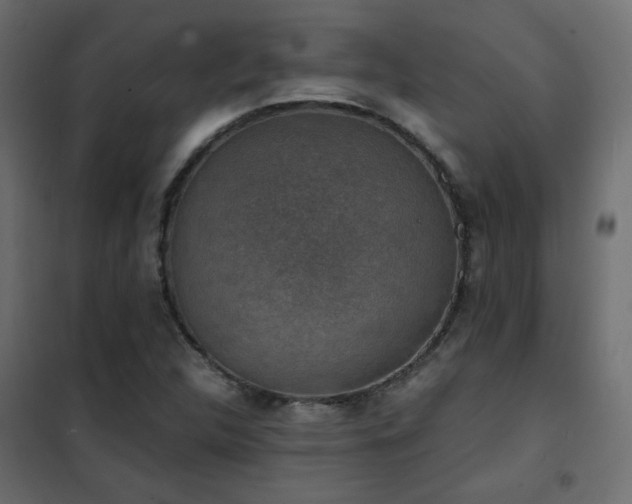 X0000102521312200808081418