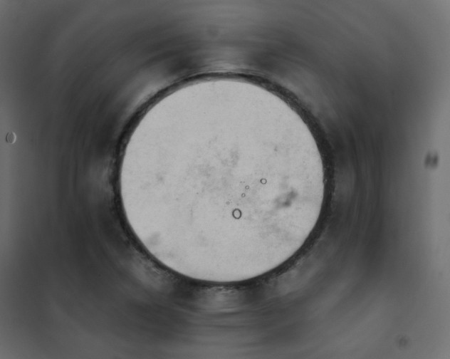 X0000102521314200808081418