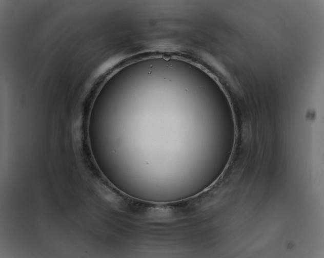 X0000102521315200808081418