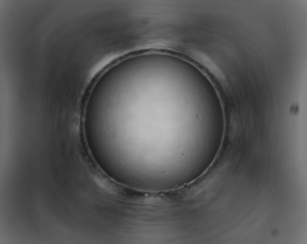 X0000102521316200808081418