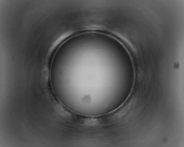 X0000102521317200808081418