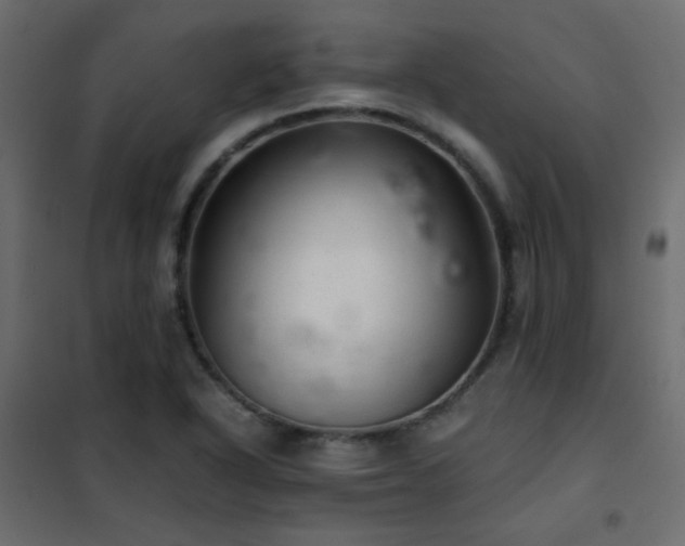 X0000102521318200808081418