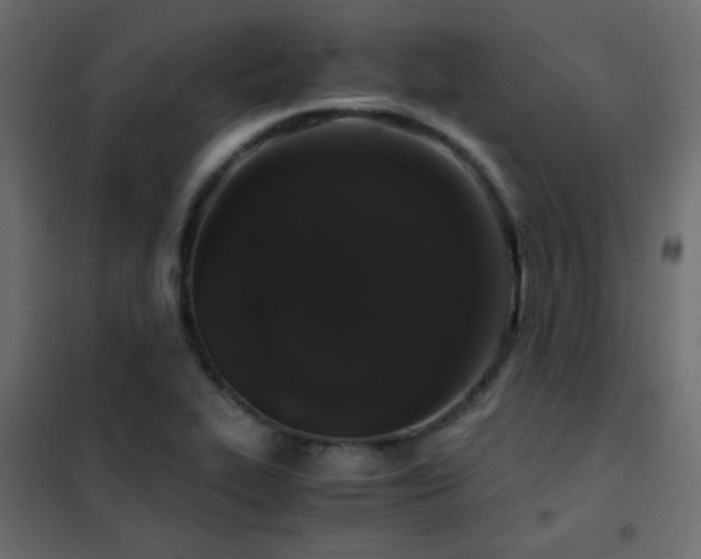 X0000102521319200808081418