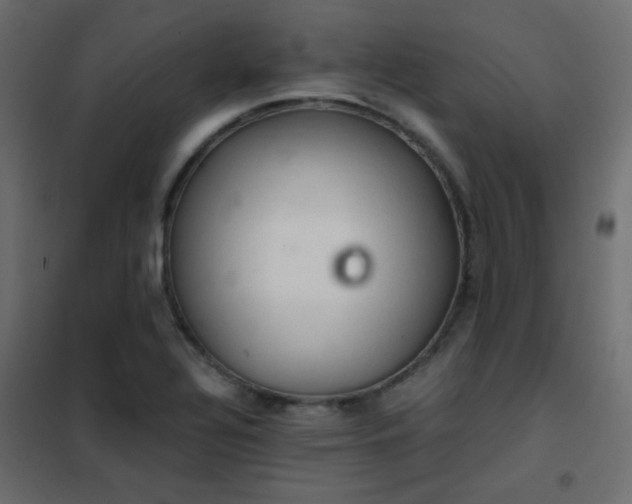 X0000102521320200808081418