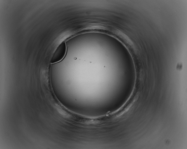 X0000102521321200808081418