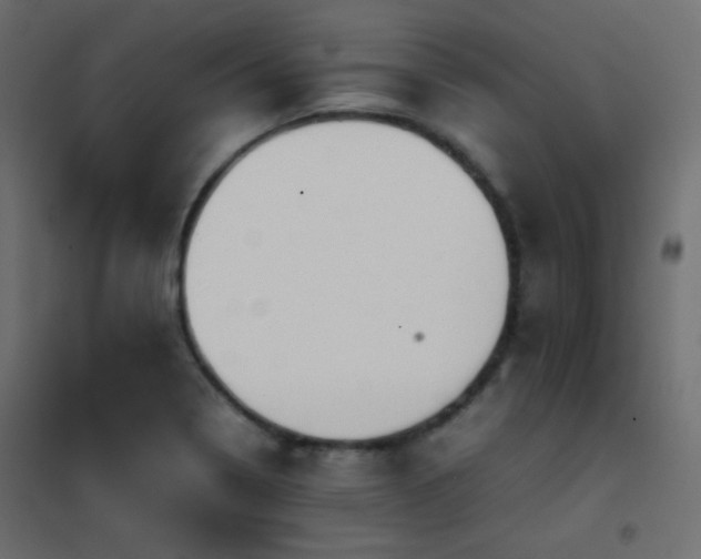 X0000102521322200808081418