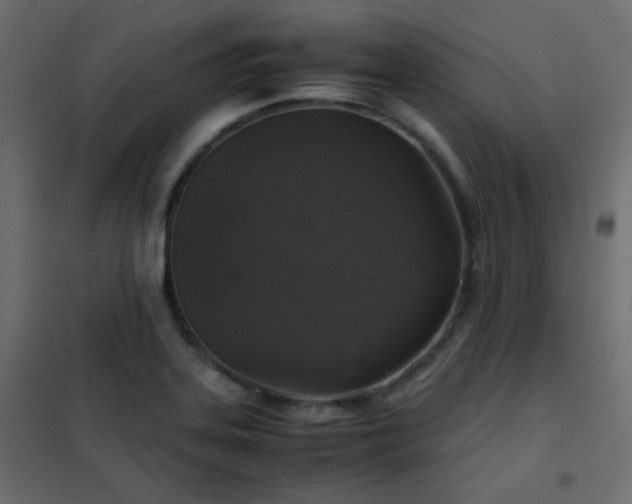 X0000102521323200808081418