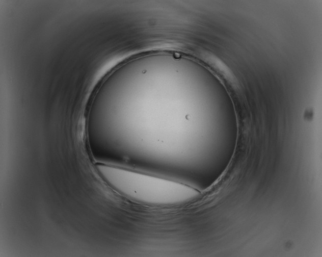 X0000102521324200808081418