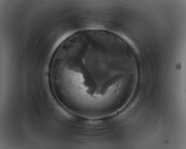 X0000102521325200808081418