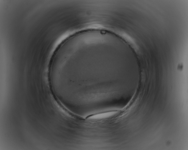 X0000102521326200808081418