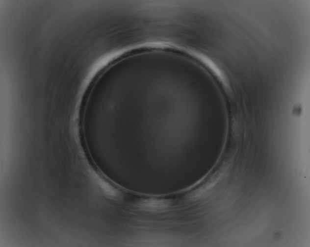 X0000102521327200808081418