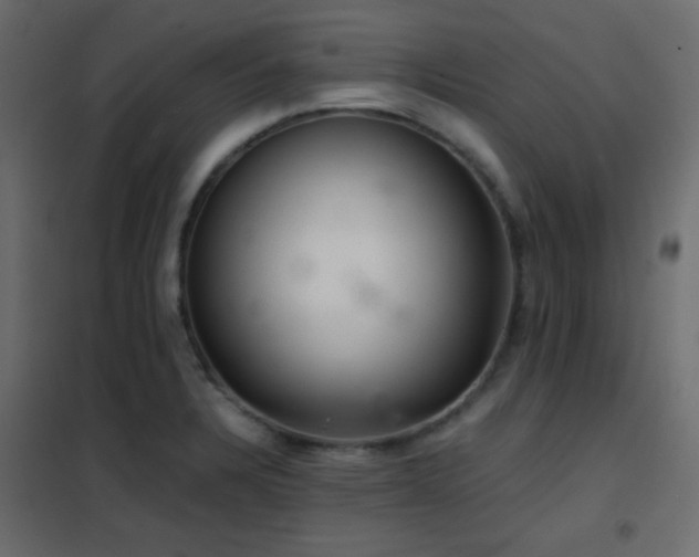 X0000102521328200808081418