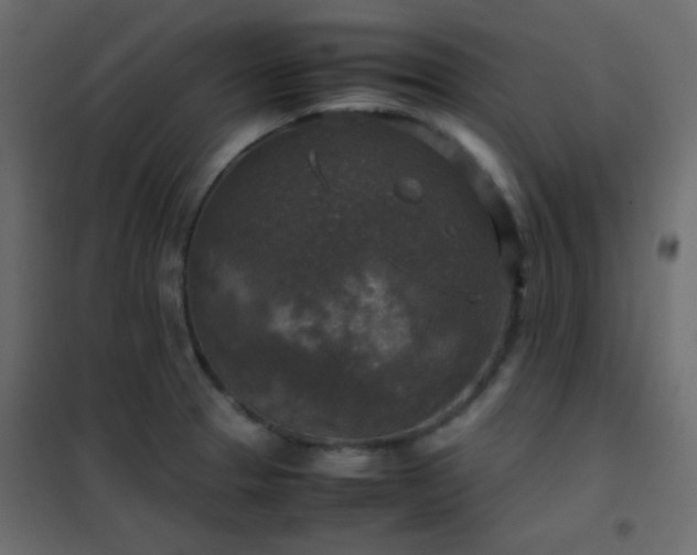 X0000102521329200808081418