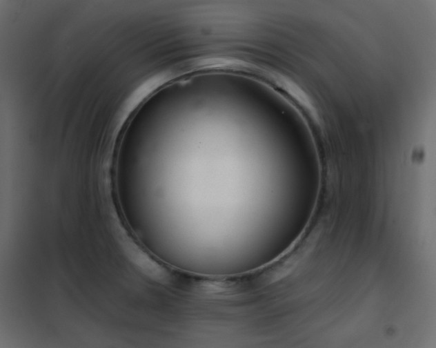 X0000102521330200808081418