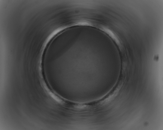 X0000102521331200808081418