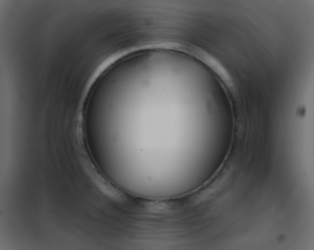 X0000102521332200808081418