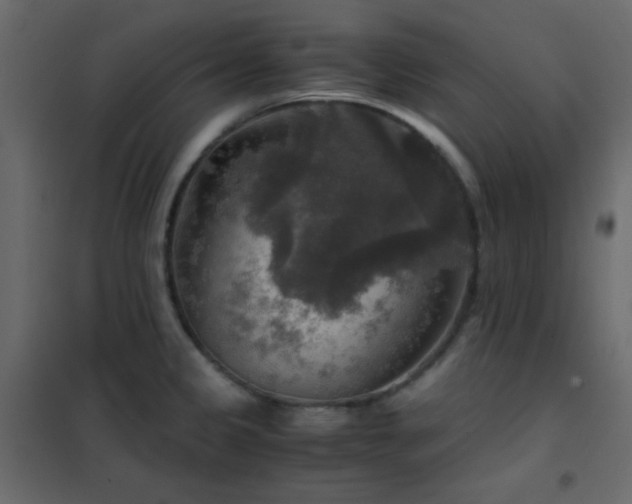 X0000102521333200808081418