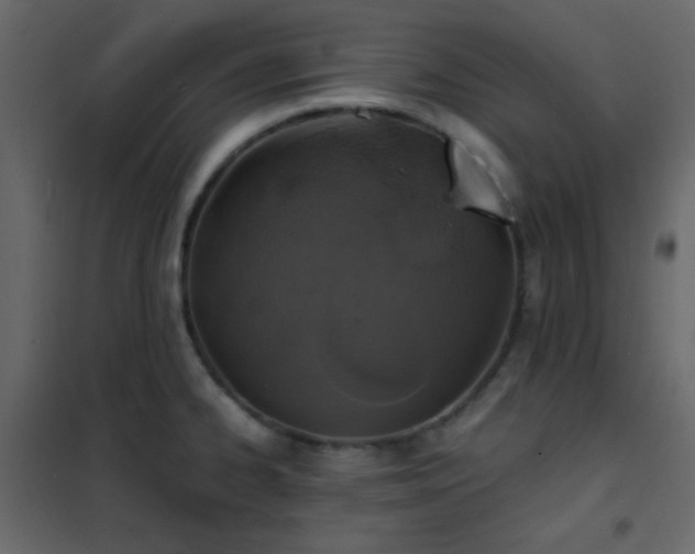 X0000102521334200808081418