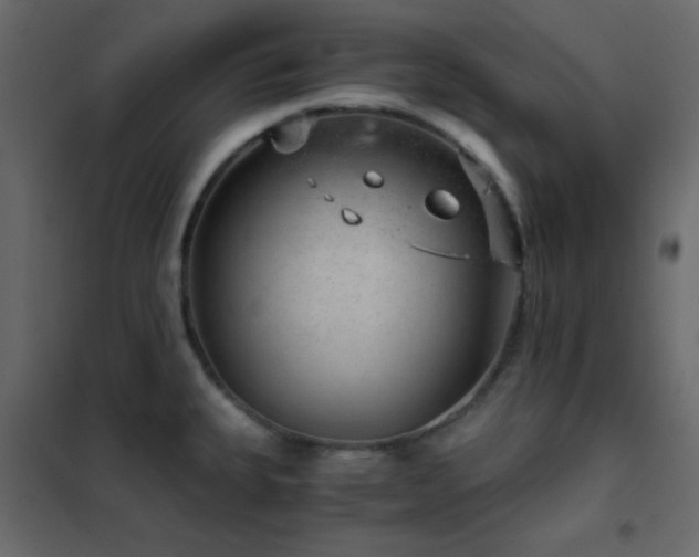 X0000102521335200808081418