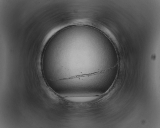 X0000102521336200808081418