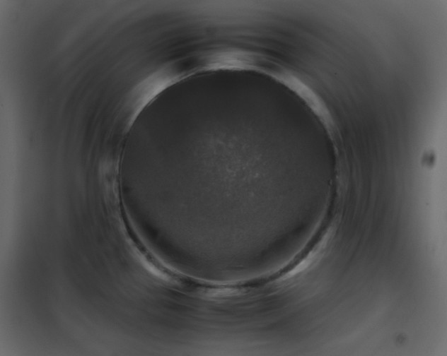 X0000102521337200808081418