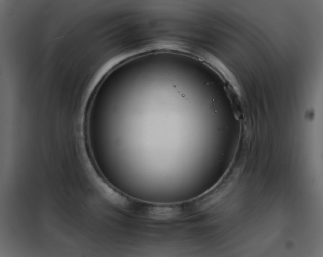 X0000102521339200808081418