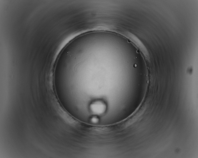 X0000102521340200808081418