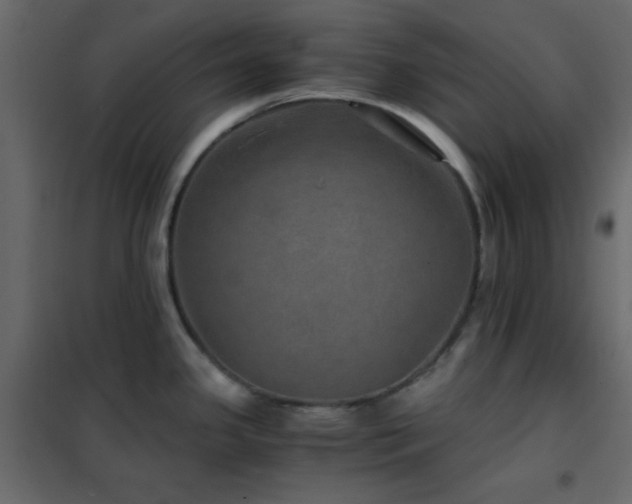 X0000102521341200808081418