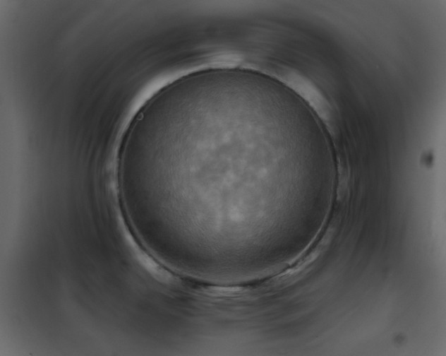 X0000102521342200808081418