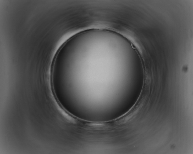 X0000102521343200808081418