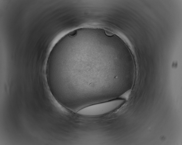 X0000102521344200808081418