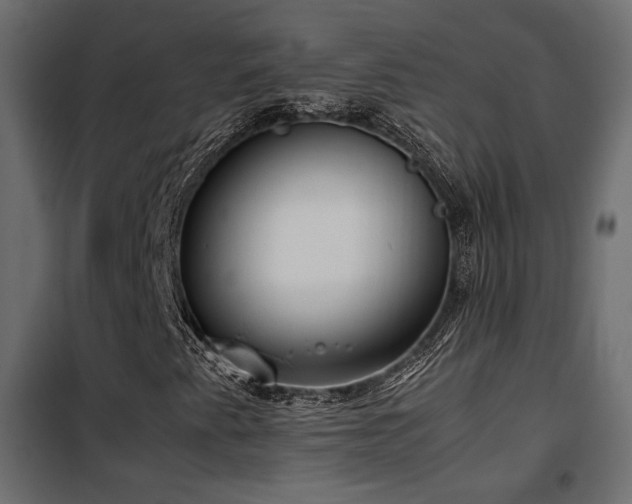 X0000102521345200808081418