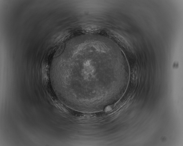 X0000102521346200808081418