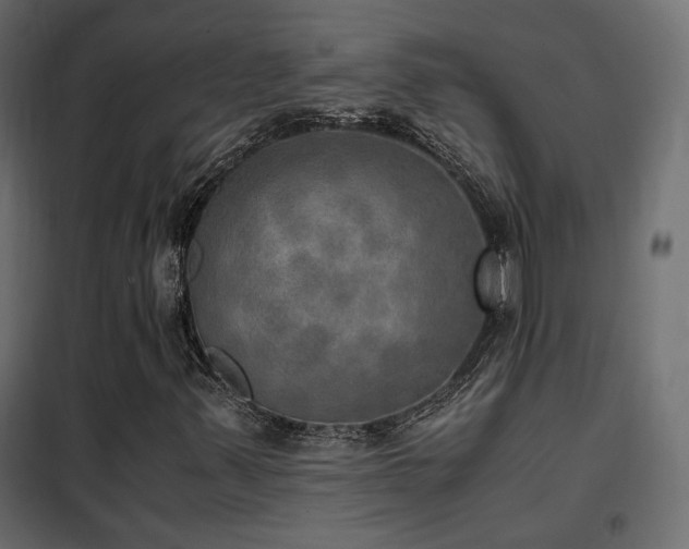 X0000102521347200808081418