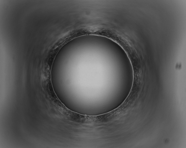 X0000102521349200808081418