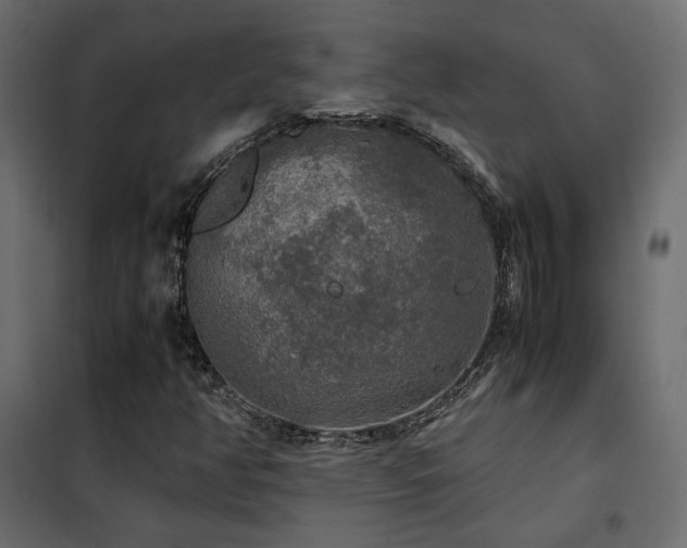 X0000102521350200808081418