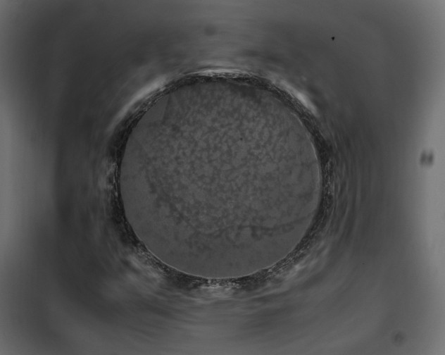 X0000102521351200808081418