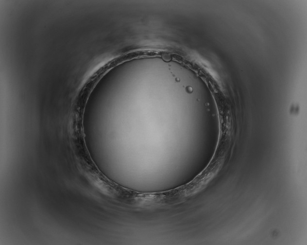 X0000102521352200808081418