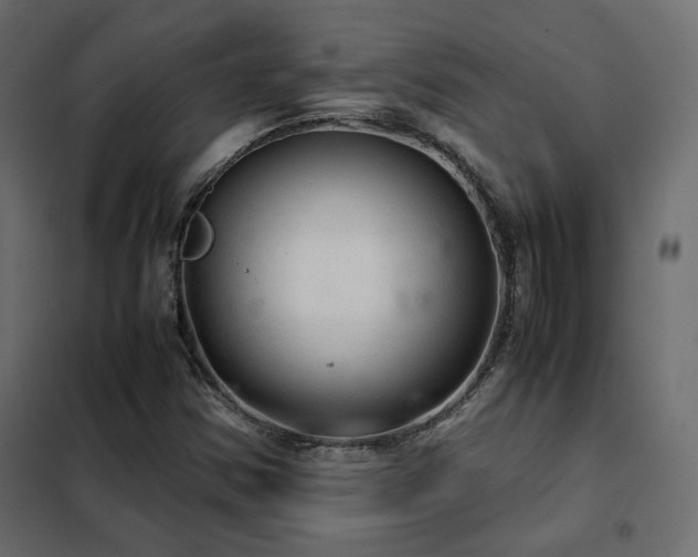 X0000102521354200808081418