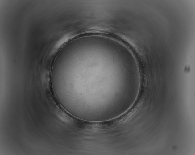 X0000102521355200808081418