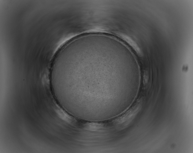 X0000102521356200808081418