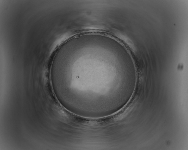 X0000102521357200808081418