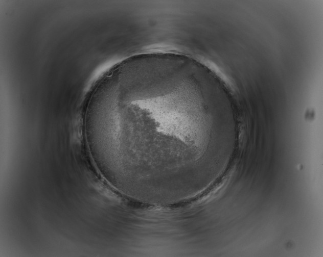 X0000102521358200808081418