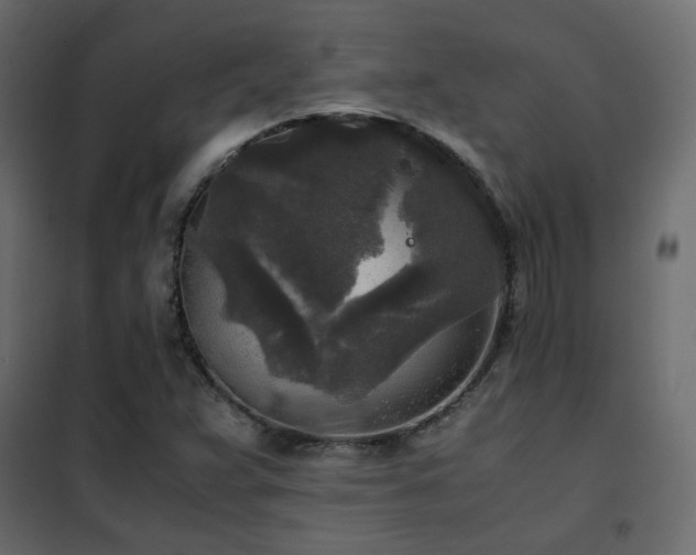 X0000102521359200808081418