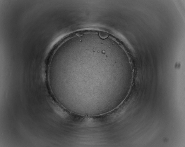 X0000102521360200808081418