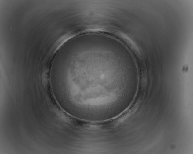 X0000102521361200808081418