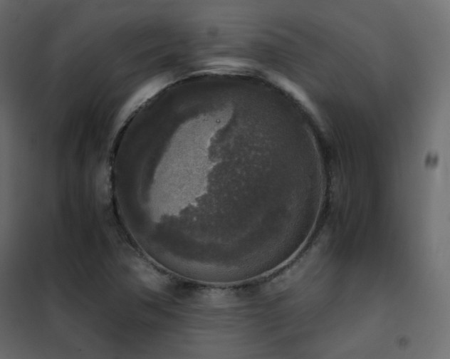 X0000102521362200808081418