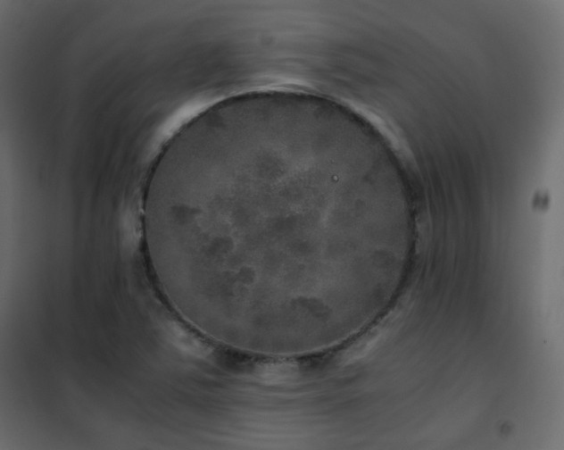 X0000102521363200808081418