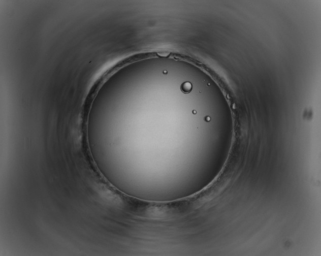 X0000102521364200808081418