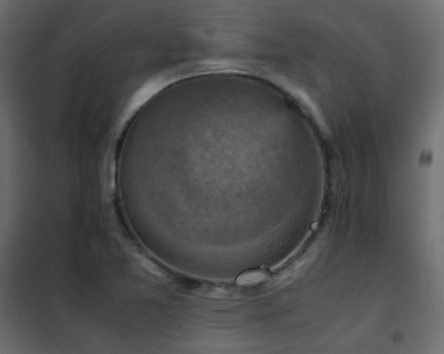 X0000102521365200808081418